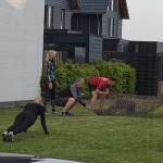 homeslider 4